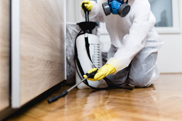 Best Commercial Pest Control Services  in Dewitt, IA