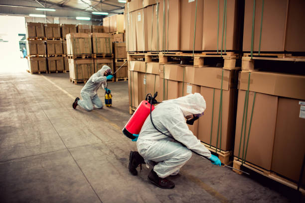 Best Affordable Pest Control Services  in Dewitt, IA
