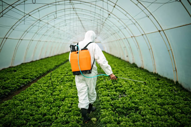 Best Pest Prevention Services  in Dewitt, IA