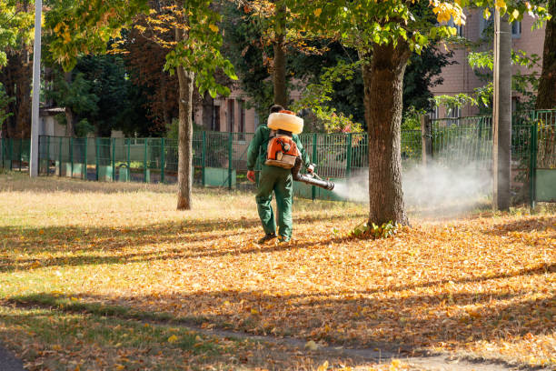 Best Exterminator Services  in Dewitt, IA