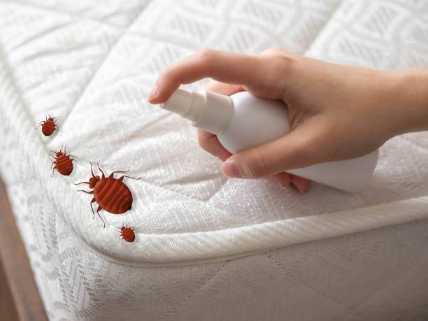 Best Best Pest Control Companies  in Dewitt, IA
